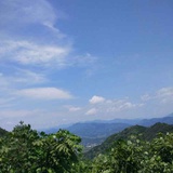 杨启升