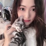米奇