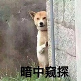 royjing