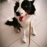 小部背书包
