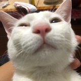 Somebody
