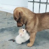 老王