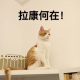 仿佛若有毒