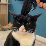 ≠