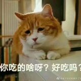 等我明天就辞职