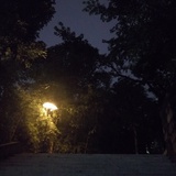 电波教师