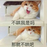 陈贱贱ccy