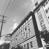 小壳子