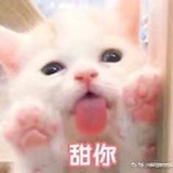 淡蓝的树