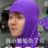 磕糖勇士