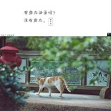 梁阿鸹