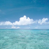 海的声音