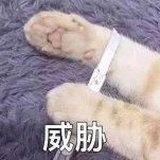 大可怜林竟