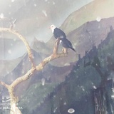 二手时间