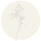 尼彩