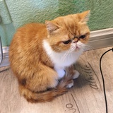 吃瓜群众
