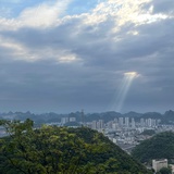 一阵风480
