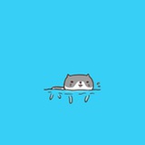 小X
