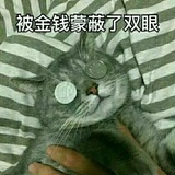 推推bang