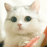 鬼语者