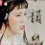 婆子若有所思的