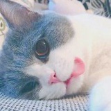 旧纸扇_