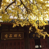 当年走马锦城西