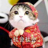 林医森打小偷！