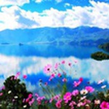 墨心繁花