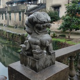 Lost Lion