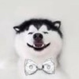 哦