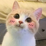 一汀