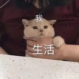此人呆萌
