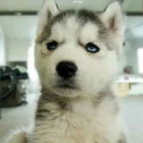 ^-^