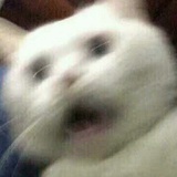 啊这
