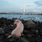 西瓦摄影