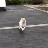 fflkkkk