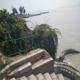 柠檬冰水