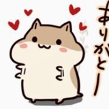 S是只仓鼠
