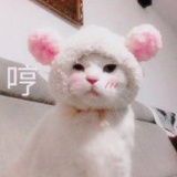 甜甜甜甜er