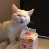 @@