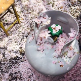 一言芳恩