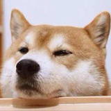 王HB