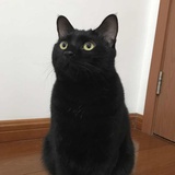❤自然卷❤