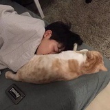 花轮12138