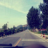 莱城下了一场雨