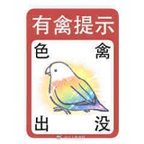 不穿苦茶