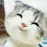 钰