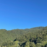 Winniedong