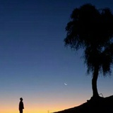 望星空